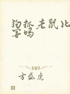 狗抓老鼠比猫厉害吗封面