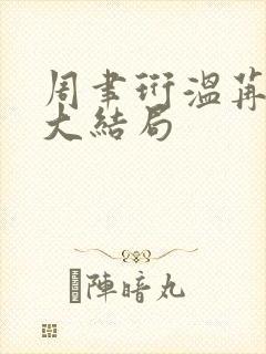 周聿珩温苒最后大结局封面