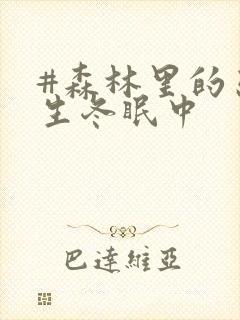 #森林里的熊先生冬眠中