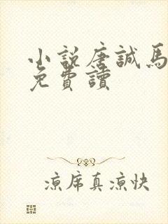 小说唐诚马玉婷免费读