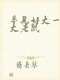 梦见好大一只巨大老鼠