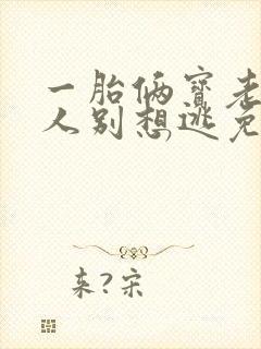 一胎俩宝老婆大人别想逃免费