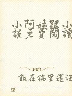 小阿姨跟小杰小说免费阅读封面