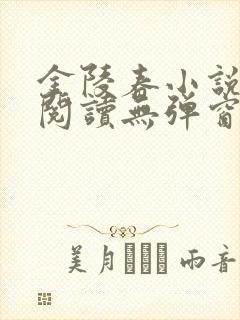 金陵春小说免费阅读无弹窗封面