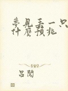 梦见丢一只袜子什么预兆