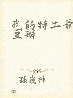 我的特工爷爷 豆瓣封面