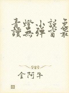 青灯小说免费阅读无弹窗最新章节