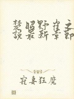 楚昭野崔之棠小说最新章节更新内容