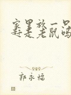 家里放一只猫能赶走老鼠吗