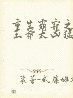 重生霸宠之摄政王爷太凶猛