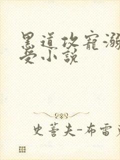 黑道攻宠溺美人受小说