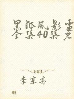 黑狐风影电视剧全集40集免费观看高清