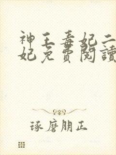 神王毒妃二嫁王妃免费阅读全文封面
