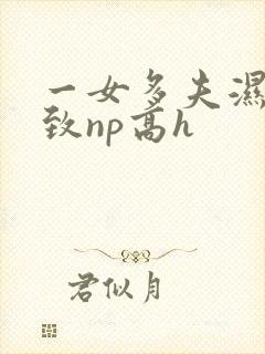 一女多夫湿润紧致np高h封面