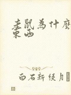 老鼠为什么要偷东西