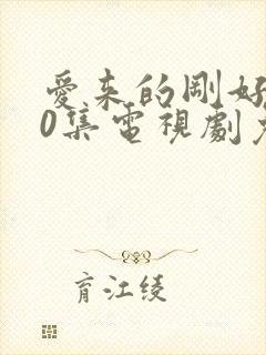 爱来的刚好第60集电视剧免费观看