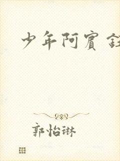 少年阿宾 钰慧