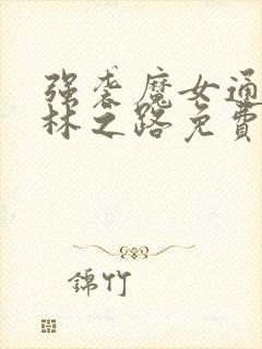 强袭魔女通往柏林之路免费观看