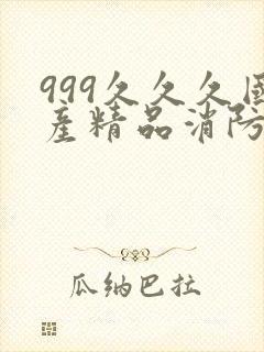 999久久久国产精品消防器材