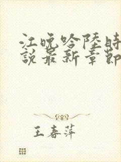 江晚吟陆时今小说最新章节更新时间封面