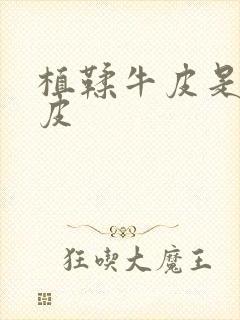 植鞣牛皮是什么皮