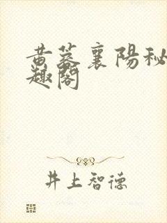 黄蓉襄阳秘史笔趣阁