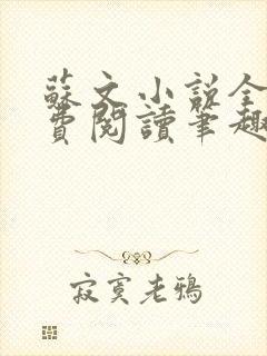 苏文小说全文免费阅读笔趣阁