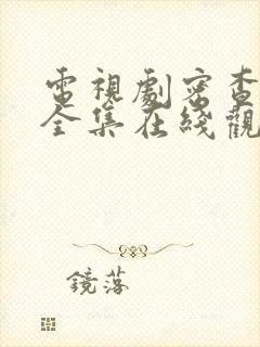 电视剧密查免费全集在线观看谍战迷封面