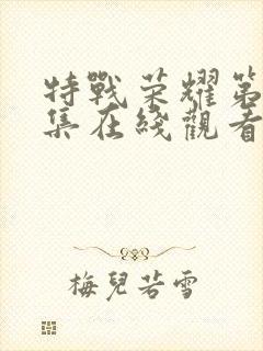 特战荣耀第13集在线观看