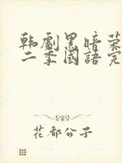 韩剧黑暗荣耀第二季国语完整版