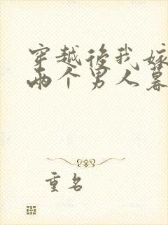 穿越后我嫁给了两个男人暮色酒歌