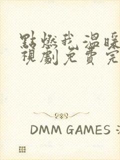 点燃我温暖你电视剧免费完整版22集