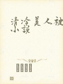 清冷美人被爆操小说