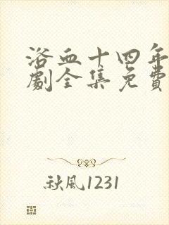 浴血十四年电视剧全集免费观看40集封面