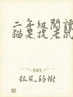 二年级阅读理解猫是捉老鼠的能手封面