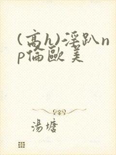 (高h)淫趴np伦欧美