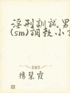 淫刑训诫男学校(sm)调教小说