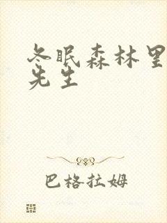 冬眠森林里的熊先生