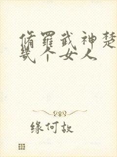 修罗武神楚枫有几个女人