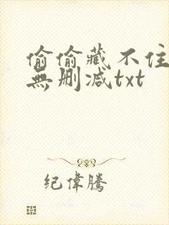 偷偷藏不住全文无删减txt