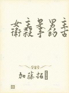 女主是男主的暗卫杀手的古言虐文