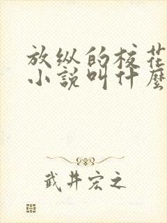 放纵的校花原著小说叫什么