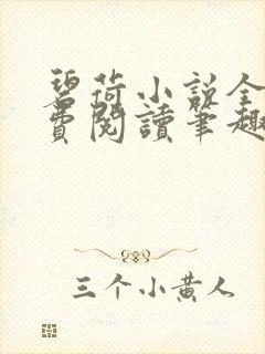 碧荷小说全文免费阅读笔趣阁