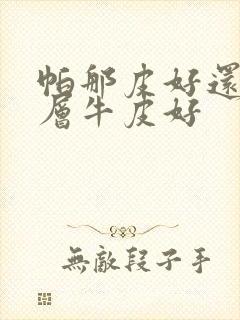 帕那皮好还是头层牛皮好