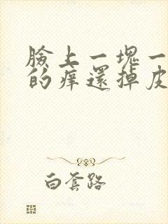 脸上一块一块红的痒还掉皮封面