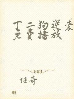 丁二狗逆袭人生免费播放封面