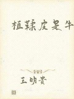 植鞣皮是牛皮吗