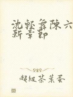 沈轻舞陈六何最新章节