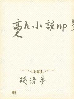 高h小说np多人