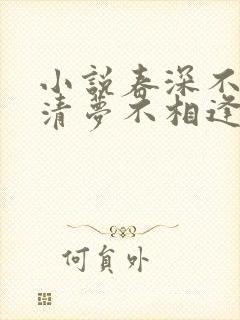 小说春深不归客清梦不相逢